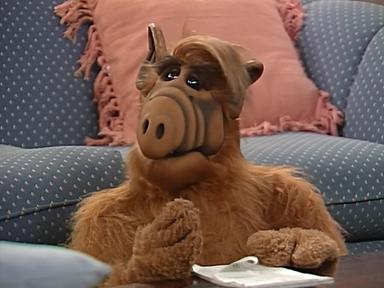 ALF 3x26