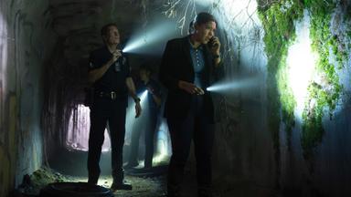 The Rookie 8x14