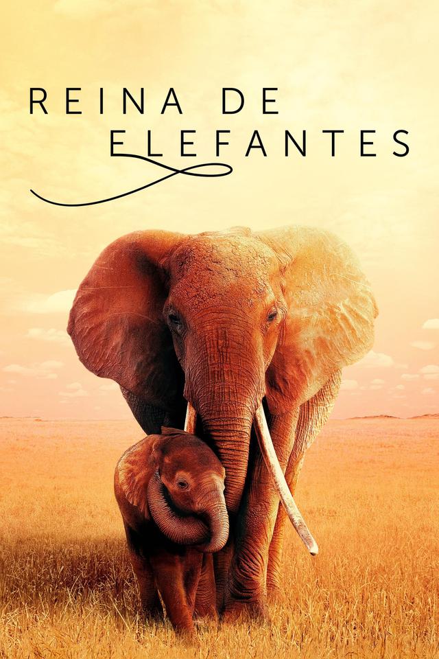Reina de elefantes