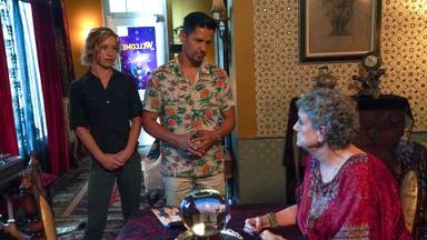 Magnum 3x14