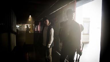 Animal Kingdom 1x8