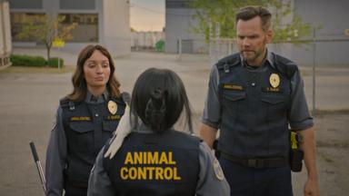 Animal Control 4x6