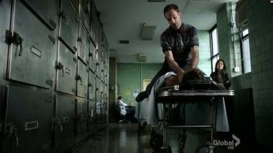 Elementary 1x5