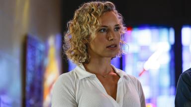 Magnum 4x11