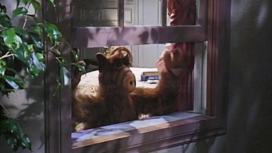 ALF 1x2