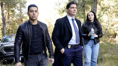 Navy: Investigación criminal 22x15
