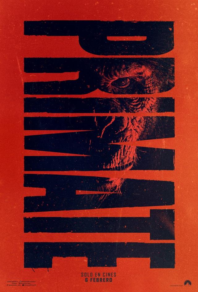 Primate