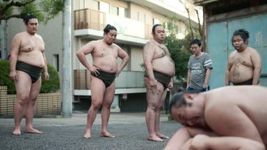 El aprendiz de sumo 1x5