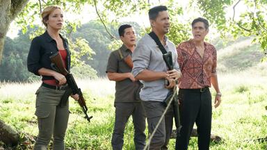Magnum 2x11