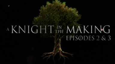 A Knight in the Making 1x2