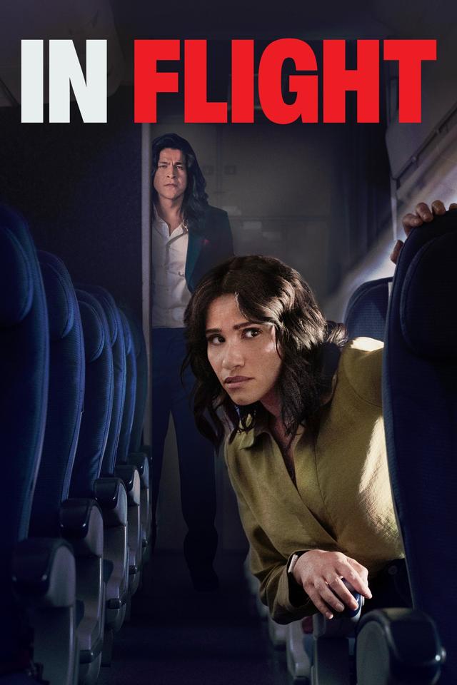 In Flight