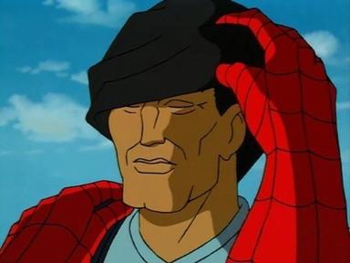 Spiderman 4x1