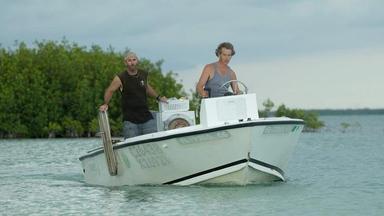 Bloodline 1x7