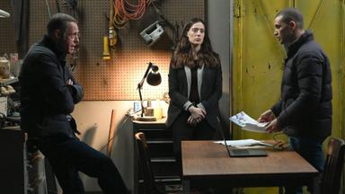 Chicago P.D. 11x9
