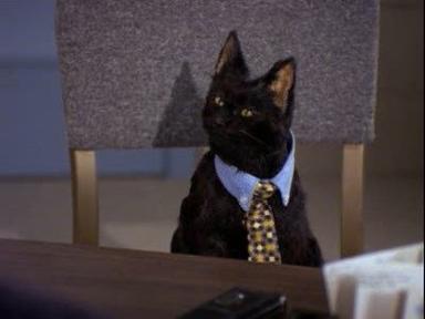 Sabrina, cosas de brujas 1x22