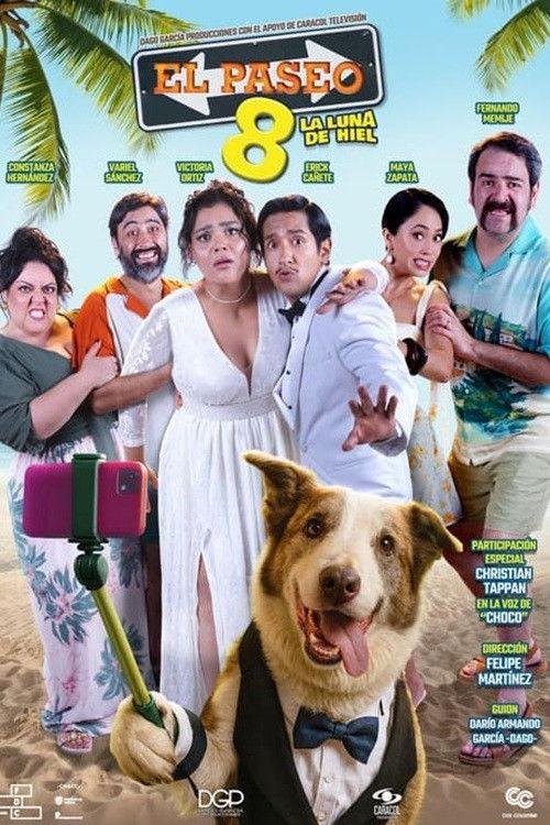El paseo 8