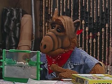 ALF 3x21