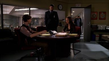 Mentes criminales 1x7