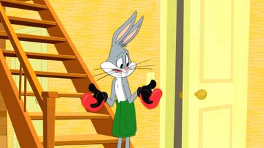 The Looney Tunes Show 2x4