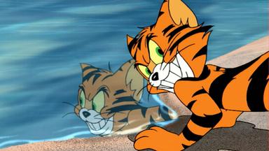 Las aventuras de Tom y Jerry 1x1