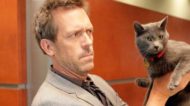 House 5x18