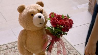 ted 2x2