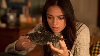Manifest 3x12