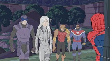 Marvel Spider-Man 2x2