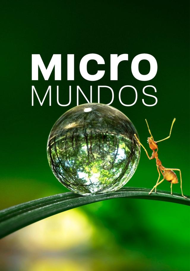 Micromundos