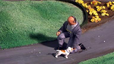Robot Chicken 1x13