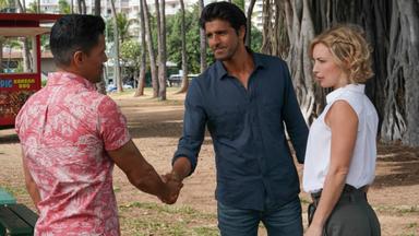 Magnum 3x16