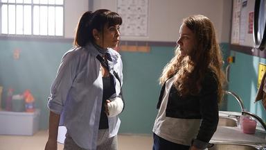Avlu: El patio 1x8