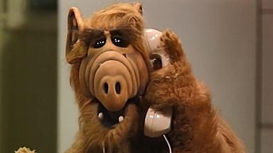 ALF 1x5