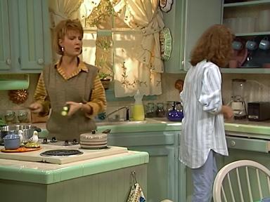 ALF 1x17
