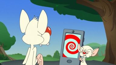 Animaniacs 1x3
