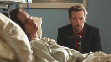 House 1x6