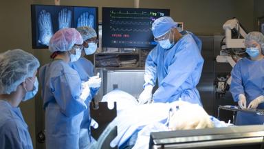Scrubs 1x1