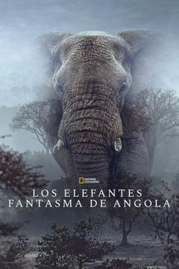 Los elefantes fantasma de Angola