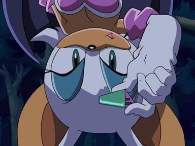 Sonic X 1x11